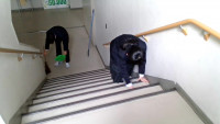 清掃10