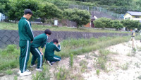 captured - 2026-06-17T071651.329