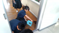 captured - 2026-06-25T120230.534