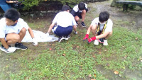 captured - 2026-07-06T101347.994