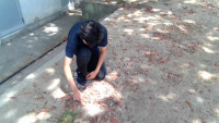 captured - 2026-07-13T133620.941