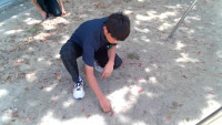 captured - 2026-07-13T133631.497